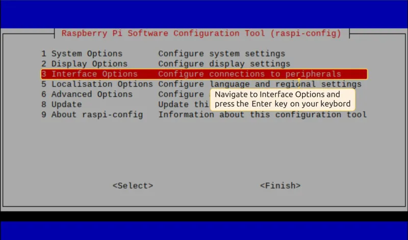 Interface Options