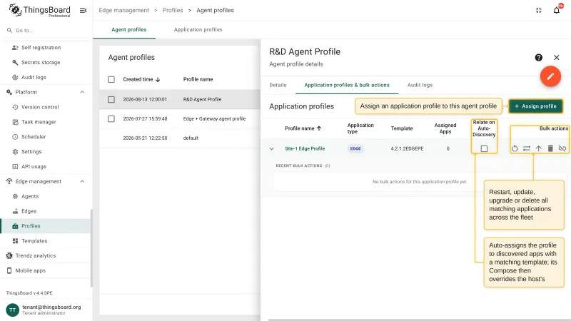 The Application profiles & bulk actions tab with the Assign profile button and the Relate on Auto-Discovery checkbox of an assigned application profile highlighted