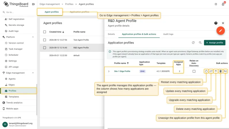 The Application profiles and bulk actions tab of the agent profile with the assigned application profile row, the number of assigned applications, and the buttons to bulk restart, update, upgrade, delete, and to unassign the profile