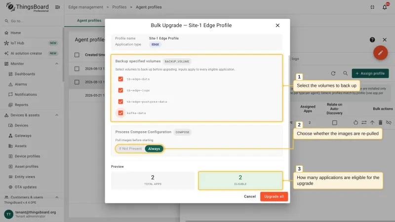 The Bulk Upgrade dialog with the volumes to back up, the image pull policy, and the preview showing two applications, both eligible