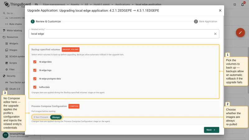 The Review and Customize step of the Upgrade Application wizard with the volumes to back up and the image pull policy, and without a Docker Compose editor