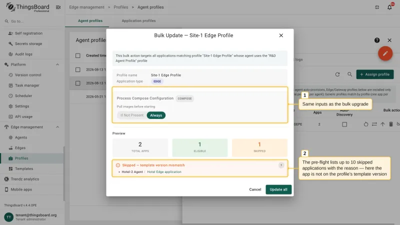 The Bulk Update dialog with the same inputs as the bulk upgrade and the preview showing one eligible and one skipped application with the reason: template version mismatch