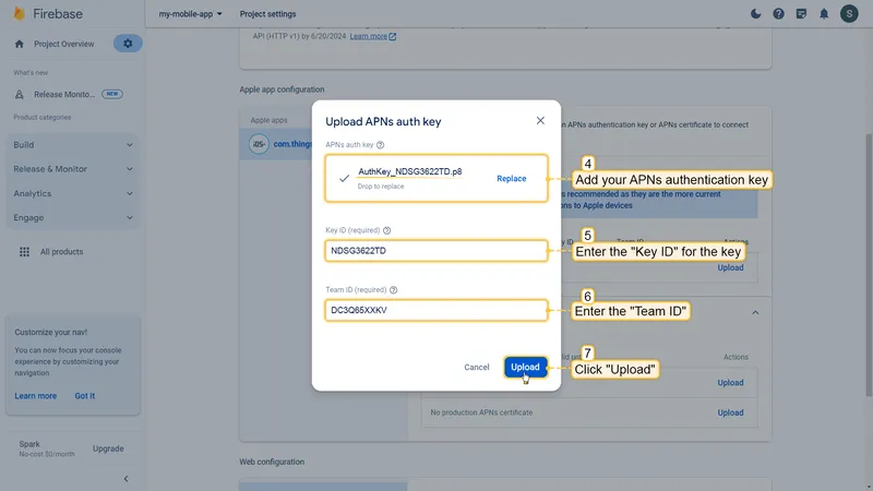 Enter APNs key details