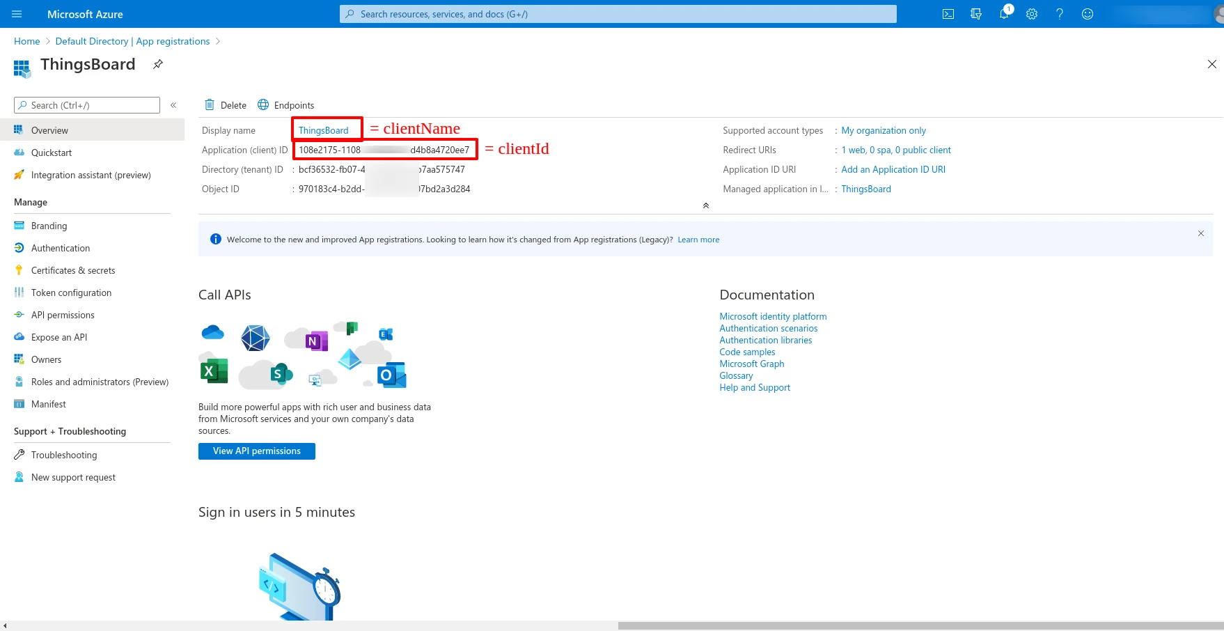 Azure application Overview page with Application ID and Directory ID