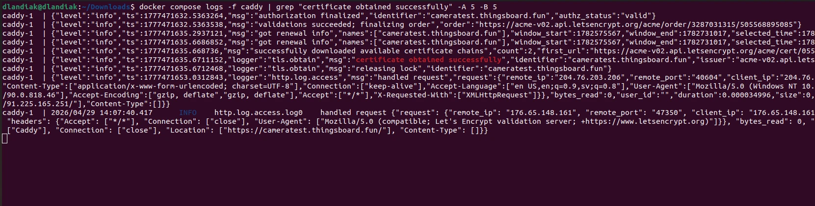 Terminal output of docker compose logs caddy filtered for "certificate obtained successfully", with the matching tls.obtain log line highlighted alongside surrounding ACME order messages.