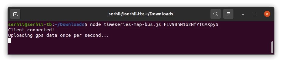 Emulator running in terminal