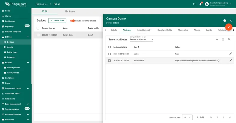 Device details panel for a camera entity, with the Server attributes tab open and an hlsStreamUrl row showing the public HLS URL as its string value.