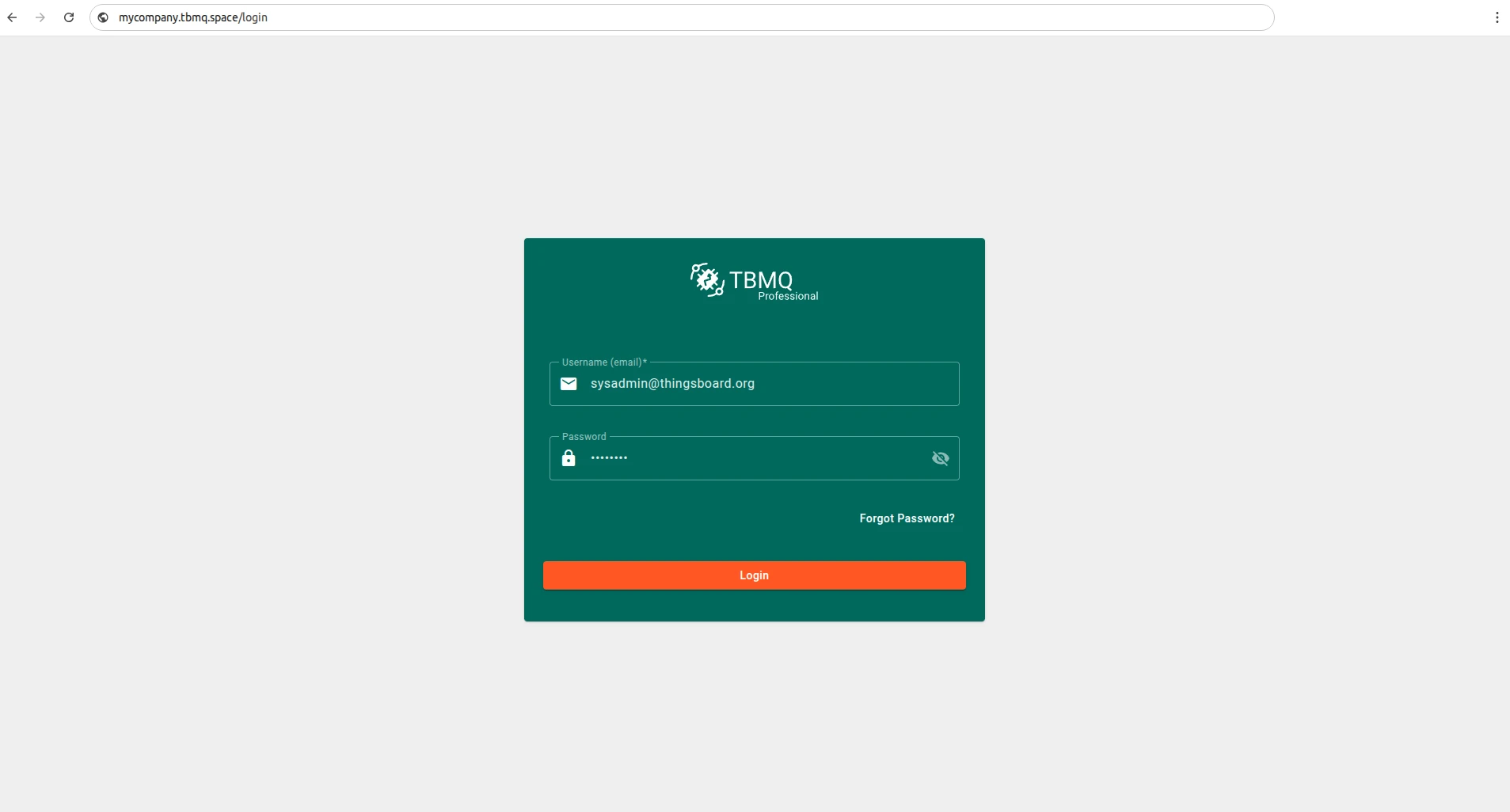 Access TBMQ using the custom domain name
