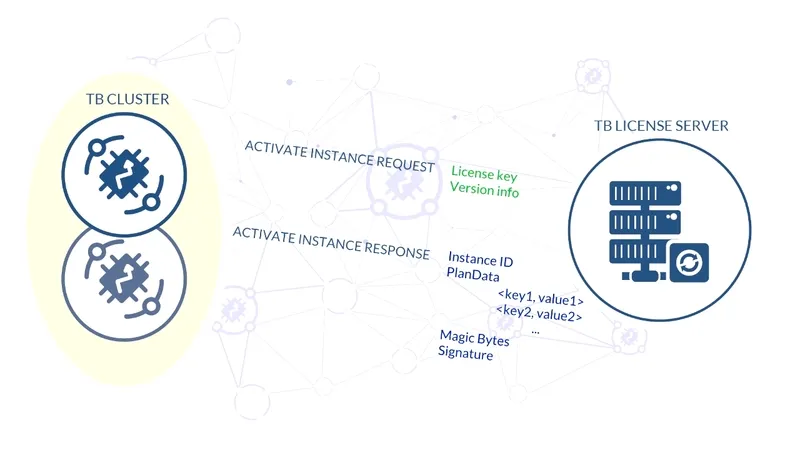 License activation flow