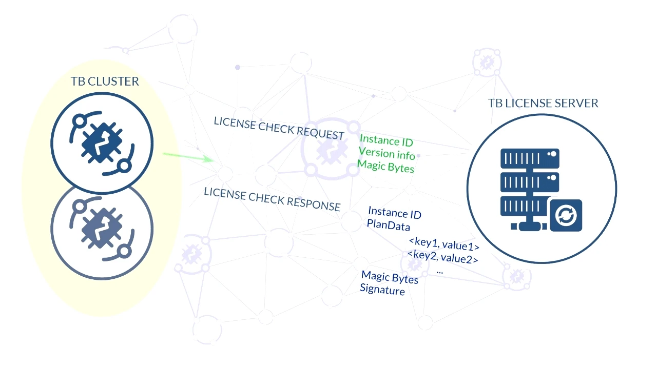 License check flow