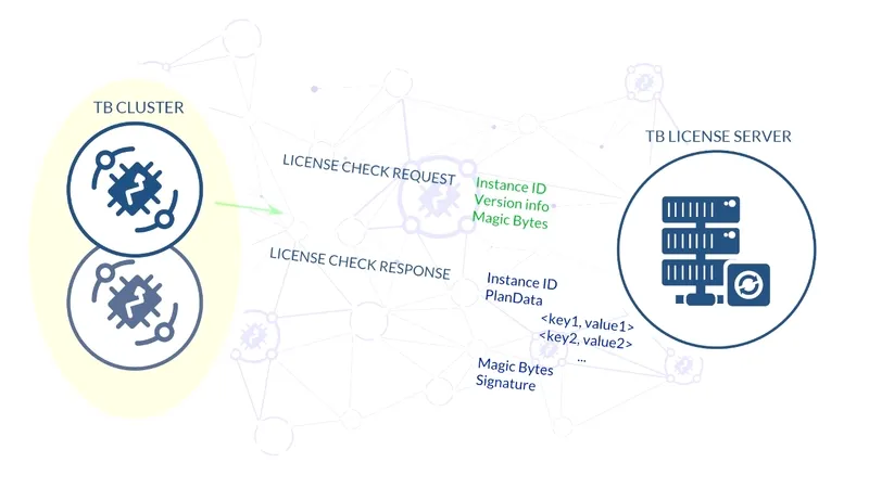 License check flow