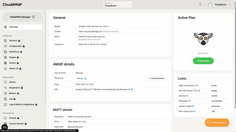CloudAMQP instance Overview page with the RabbitMQ Manager button