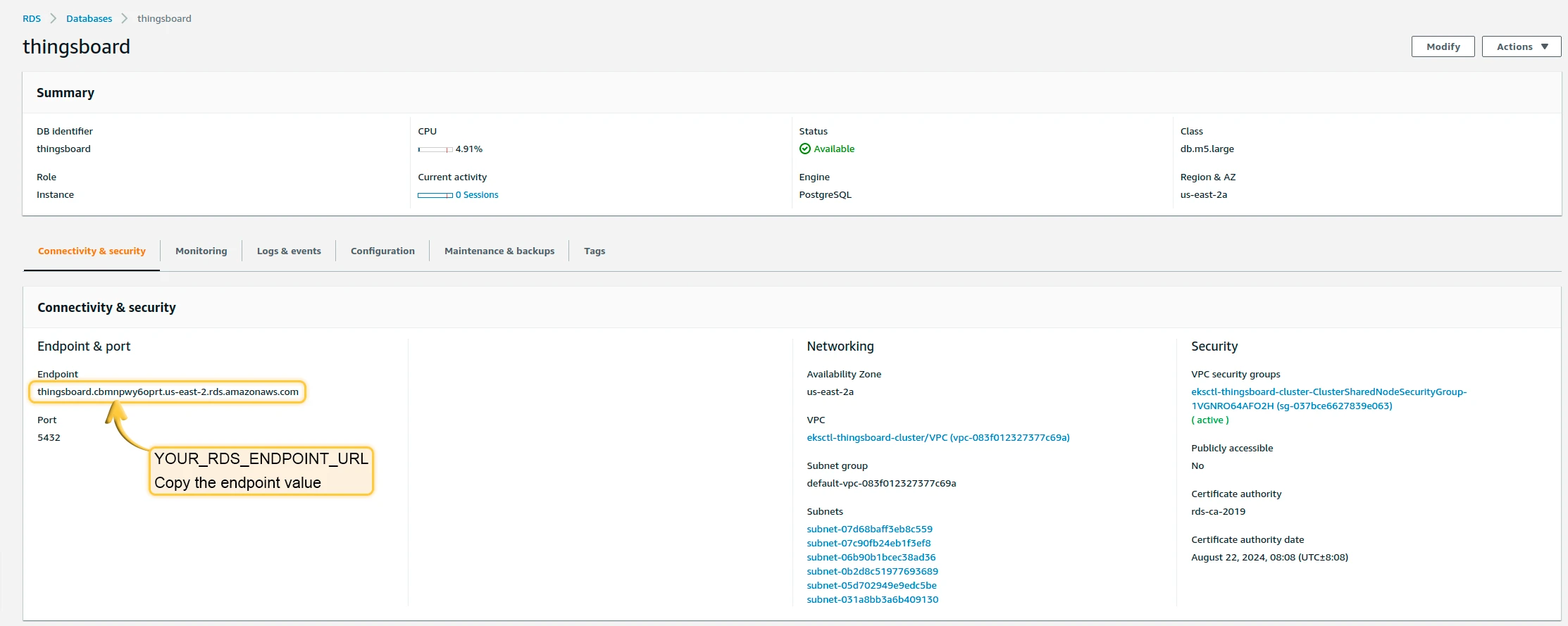 RDS endpoint URL