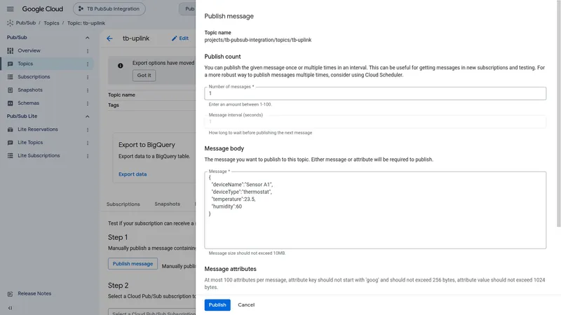 Publish message dialog with the test JSON payload in the Message body field