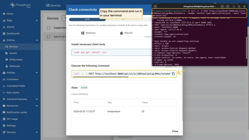 Check connectivity dialog with curl command and terminal showing 200 OK response