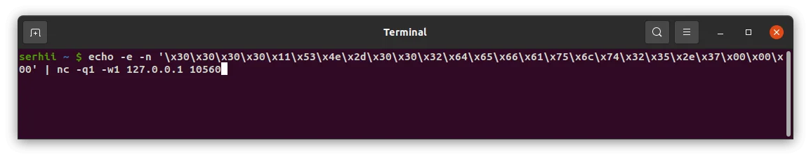 Terminal — binary message sent to the TCP integration; no output indicates successful delivery
